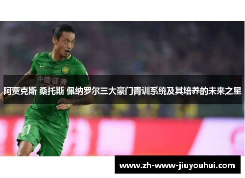 阿贾克斯 桑托斯 佩纳罗尔三大豪门青训系统及其培养的未来之星 阿贾克斯 桑托斯 佩纳罗尔三大豪门青训系统及其培养的未来之星